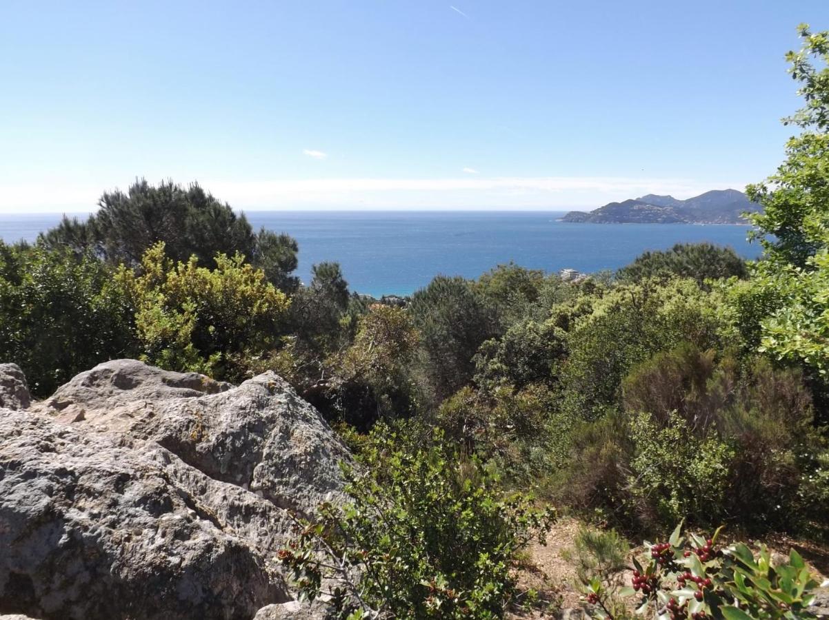 Appartement Luxueux 150M2 - Cannes Exterior foto